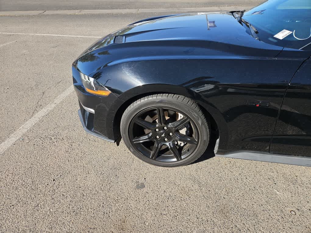 Used 2019 Ford Mustang GT w/ Equipment Group 301A RWD image 3