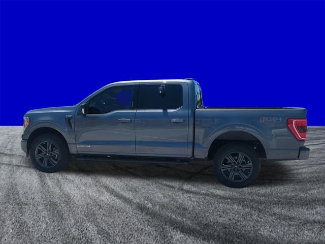 Certified 2023 Ford F150 XLT w/ Equipment Group 302A High image 7