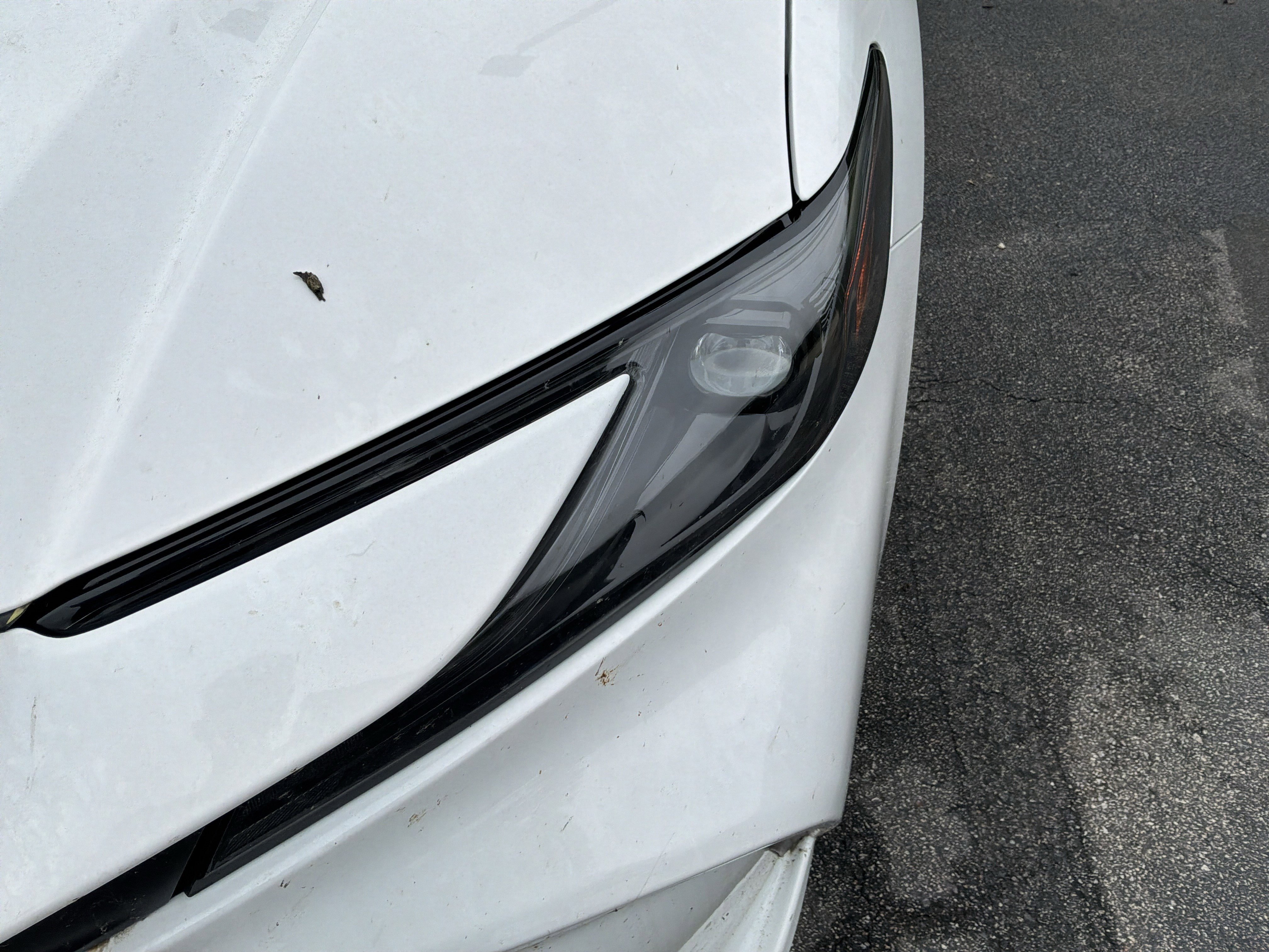 Used 2025 Toyota Camry LE FWD image 44