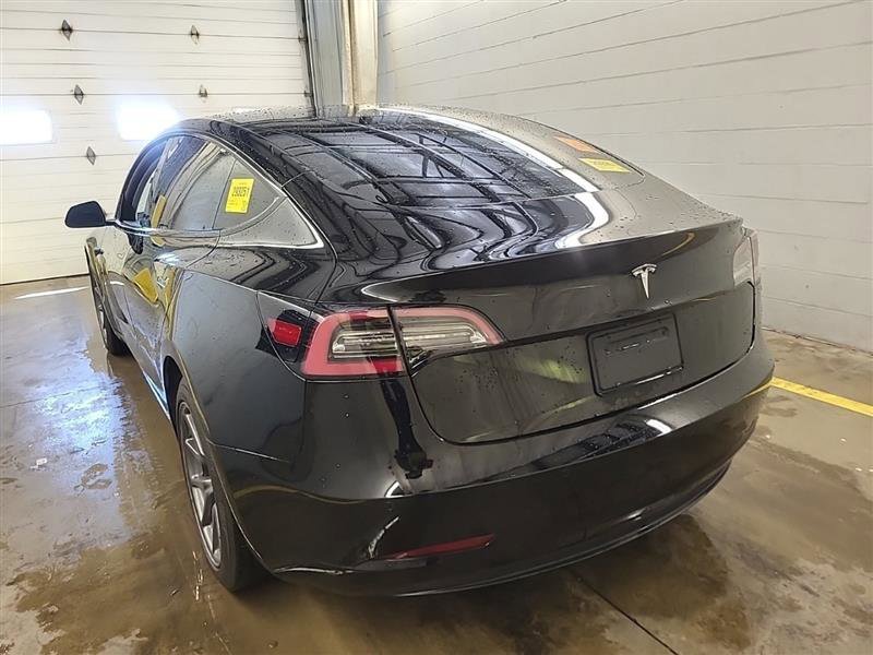 Used 2019 Tesla Model 3 Standard Range Plus image 4