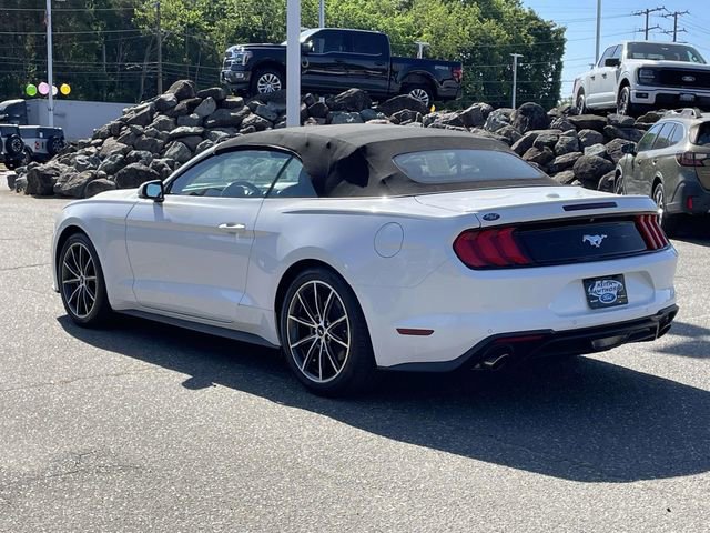 Certified 2019 Ford Mustang Premium w/ Equipment Group 201A image 10