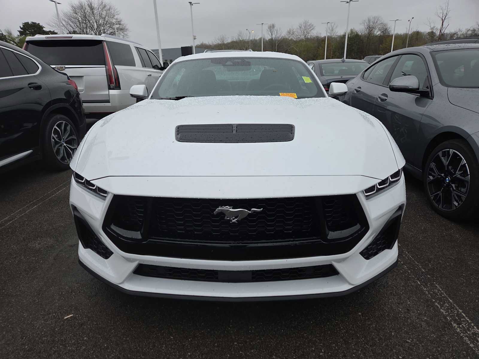 Used 2025 Ford Mustang GT Premium image 9