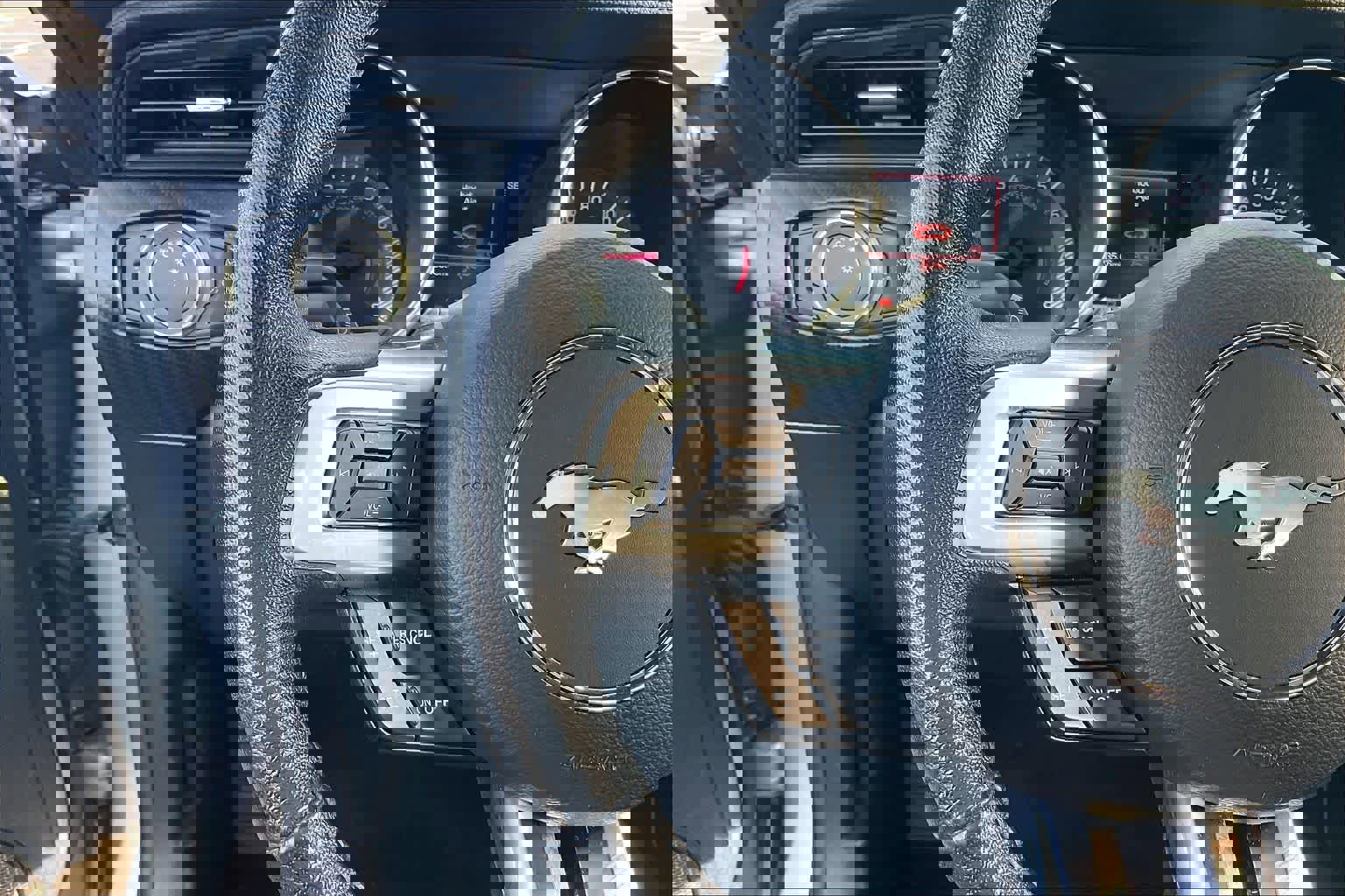 Used 2021 Ford Mustang EcoBoost image 20