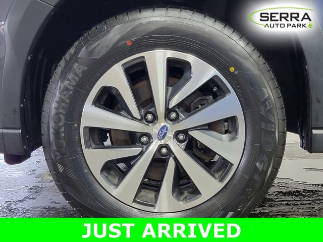 Used 2023 Subaru Outback Wilderness AWD/4WD image 9