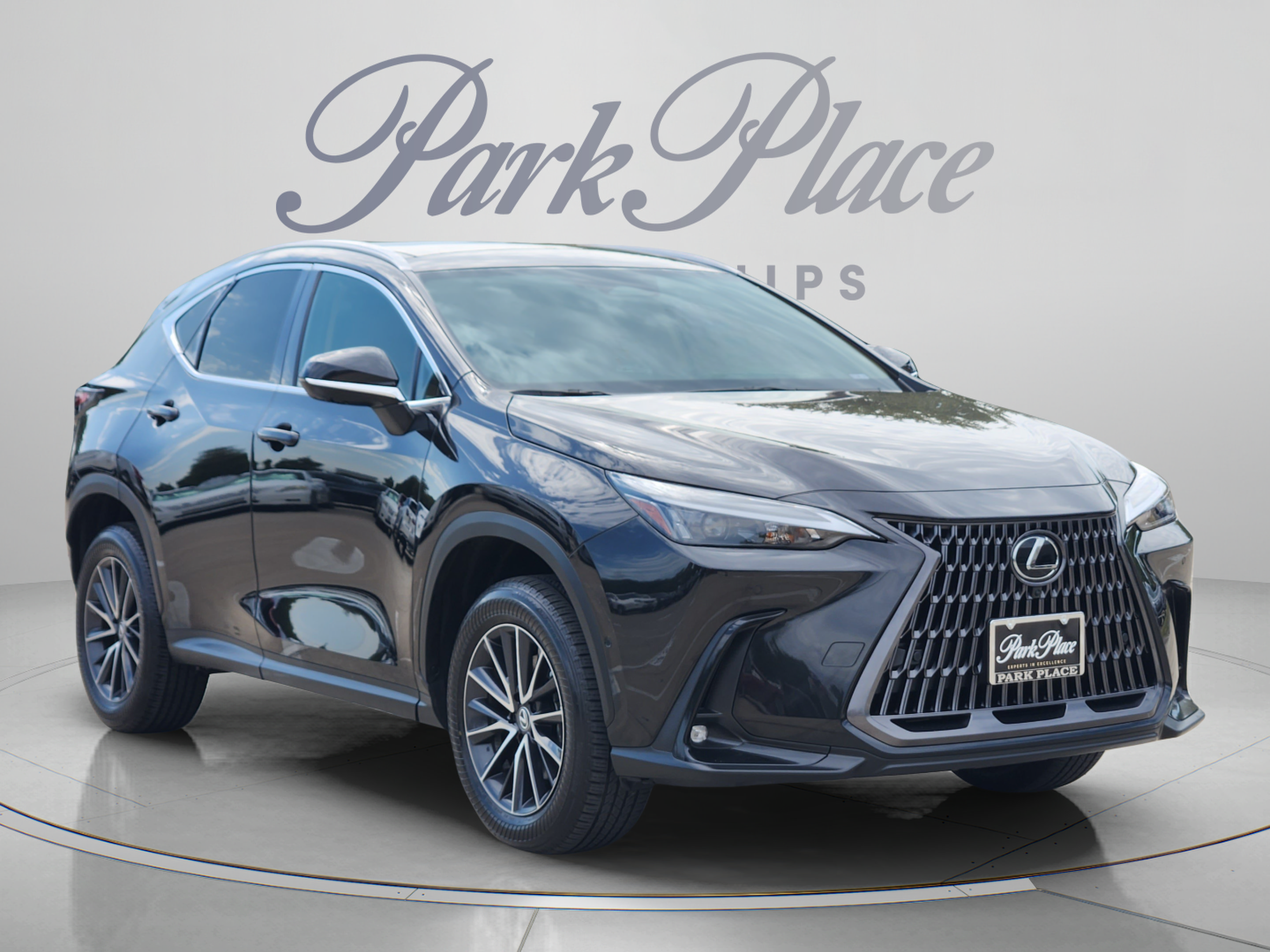 Used 2024 Lexus NX 350h AWD w/ Vision Package image 4