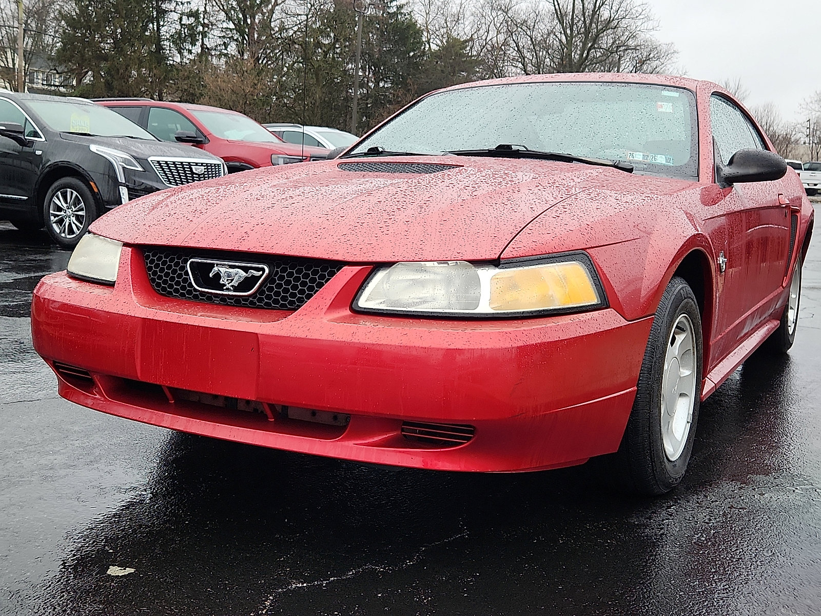 Used 1999 Ford Mustang Coupe image 4