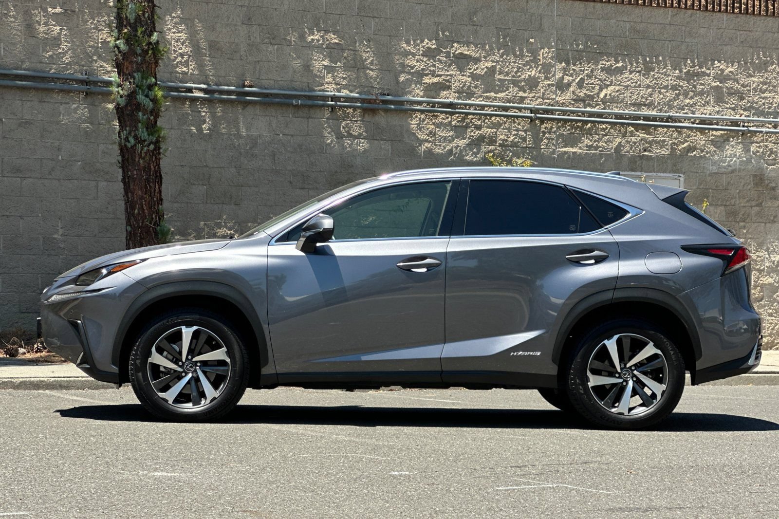 Used 2021 Lexus NX 300h AWD w/ Premium Package image 6