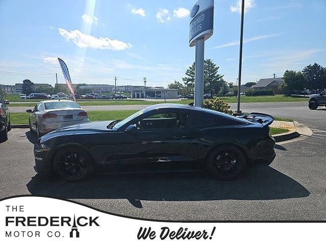 Used 2023 Ford Mustang GT Premium w/ Equipment Group 401A RWD image 1