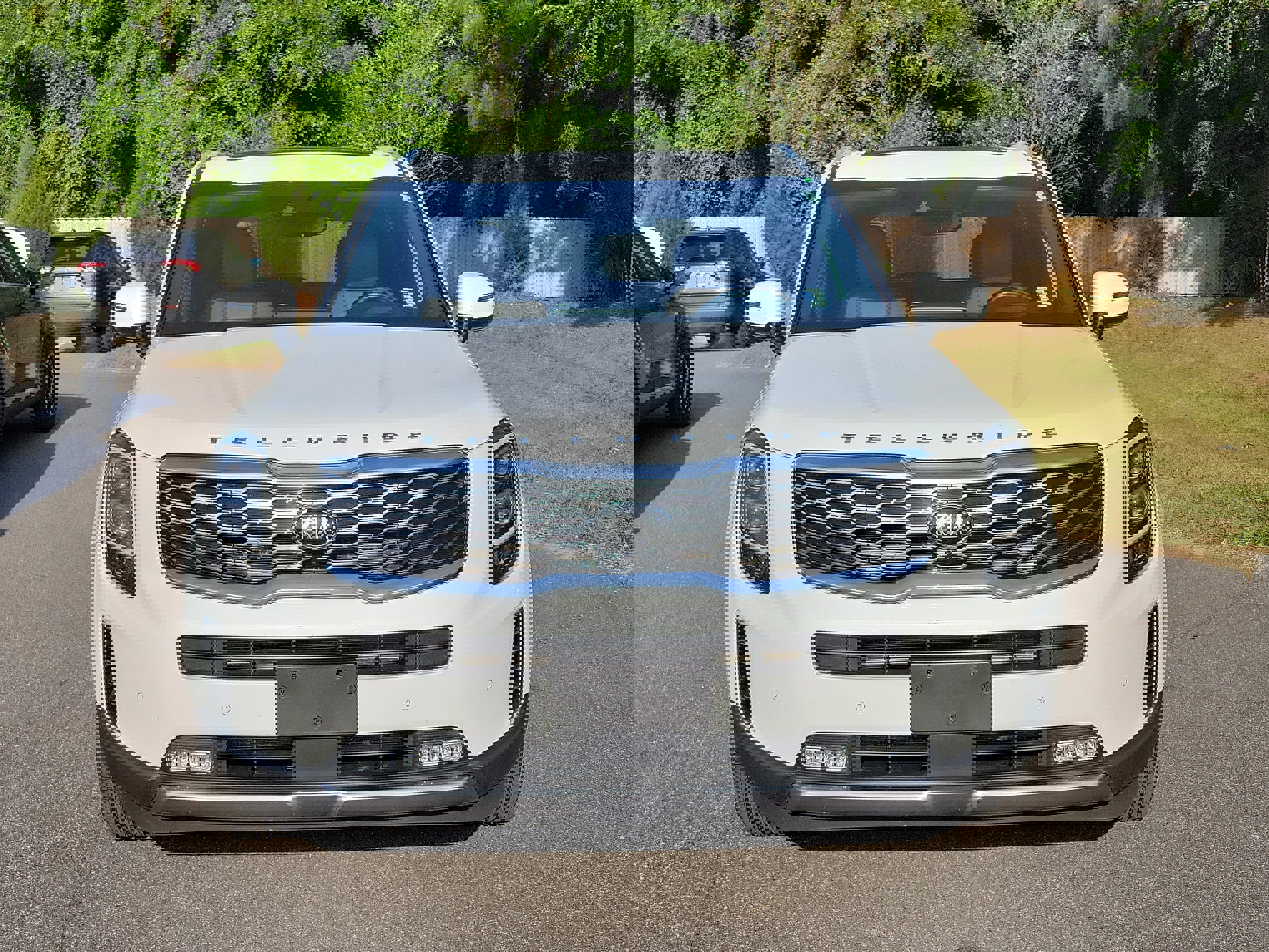 Used 2021 Kia Telluride SX w/ SX Prestige Package image 2