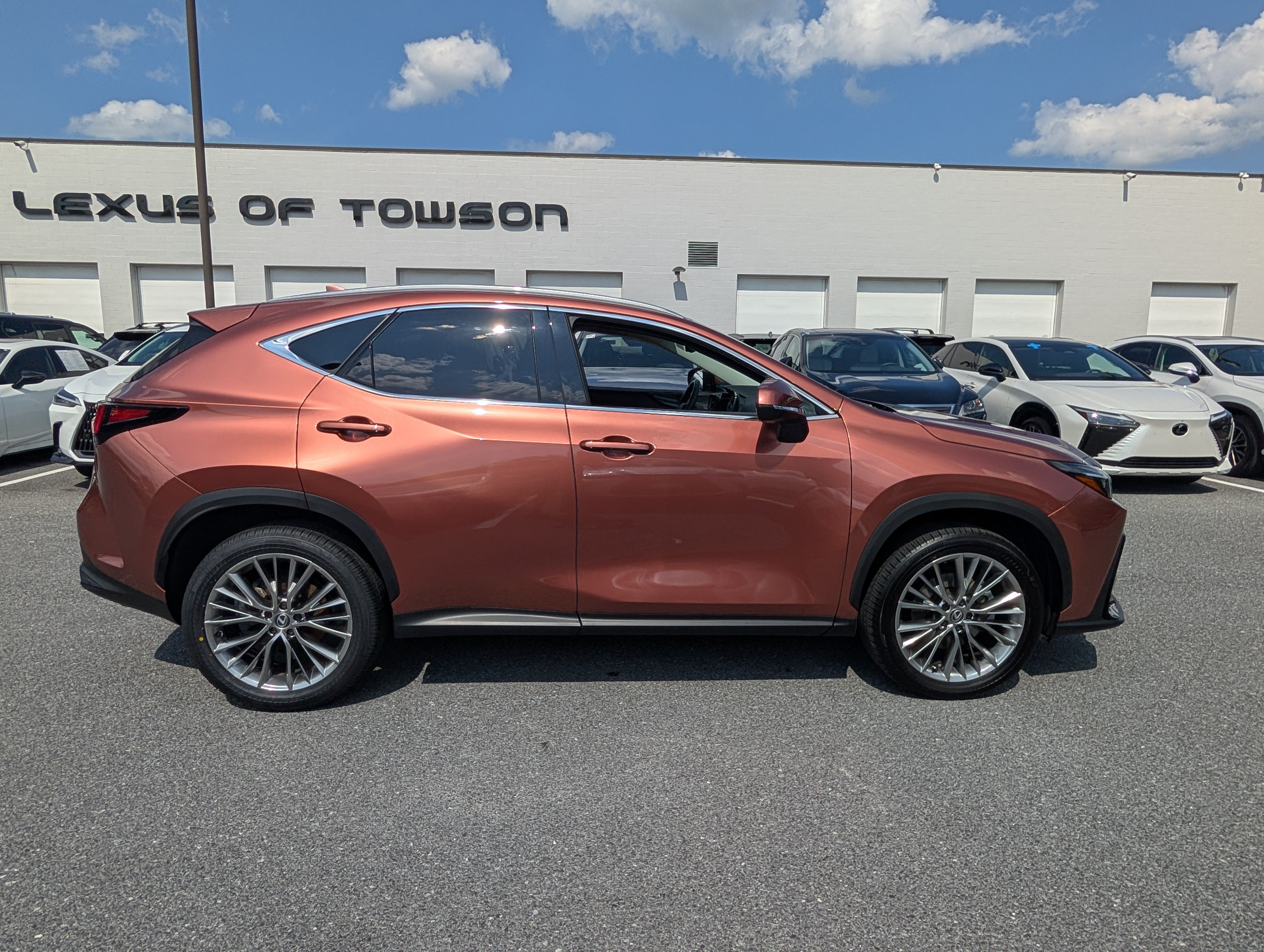 Certified 2025 Lexus NX 350h AWD w/ Cold Area Package image 2