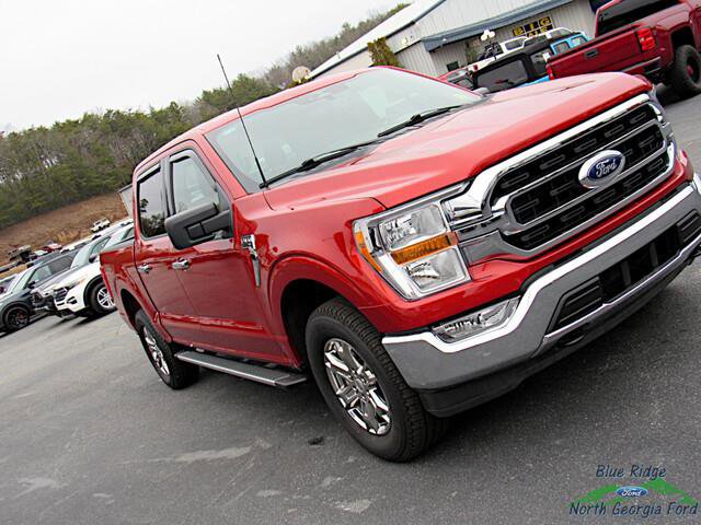 Used 2023 Ford F150 XLT w/ Equipment Group 301A Mid image 28