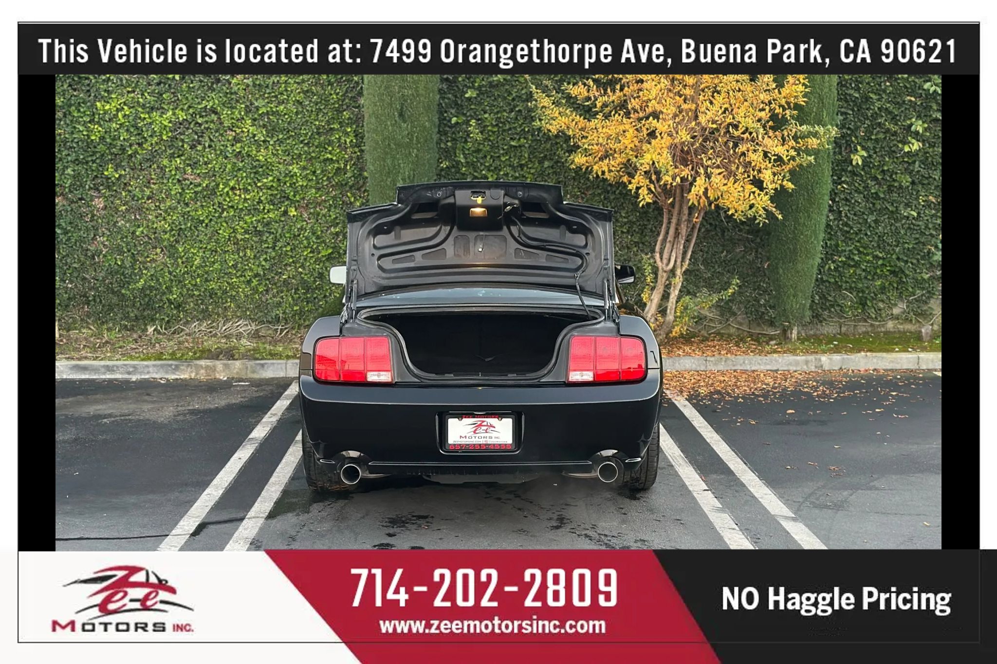 Used 2009 Ford Mustang GT Premium image 14