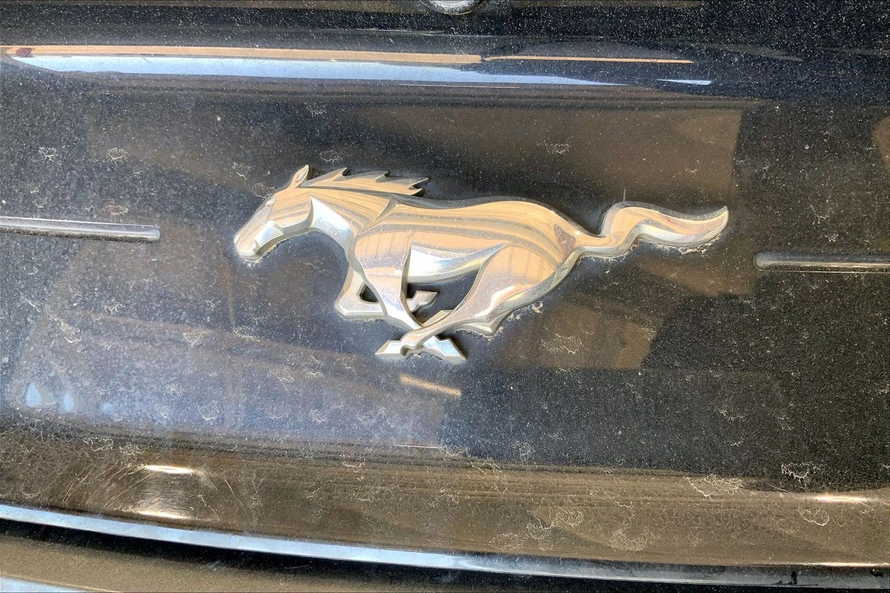 Used 2019 Ford Mustang Premium RWD image 9