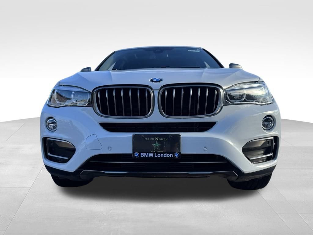 Used 2019 BMW X6 xDrive35i image 4