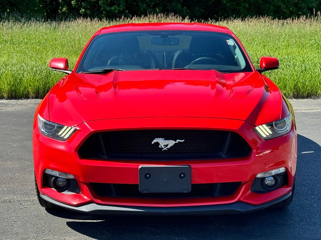 Used 2016 Ford Mustang GT Premium w/ Equipment Group 401A RWD image 3