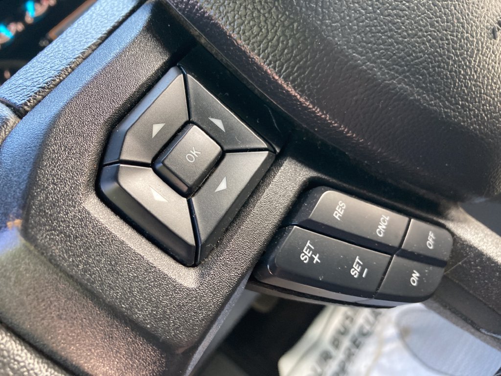 Used 2019 Ford F150 XLT w/ Equipment Group 302A Luxury AWD/4WD image 39