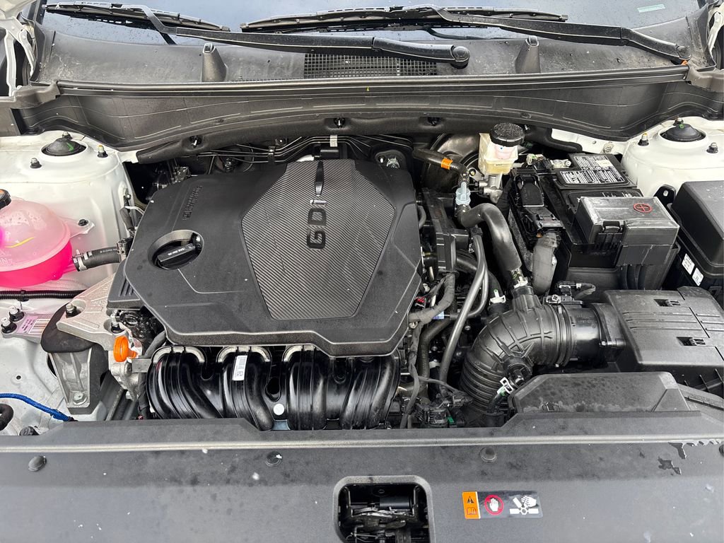Used 2025 Kia Sportage EX w/ Premium Package image 13