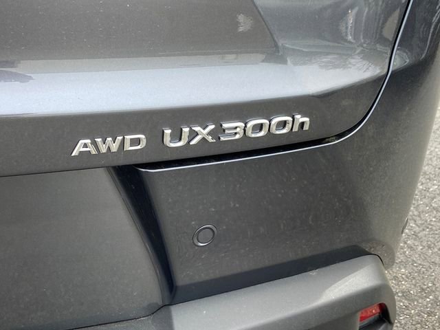 New 2026 Lexus UX 300h AWD image 10