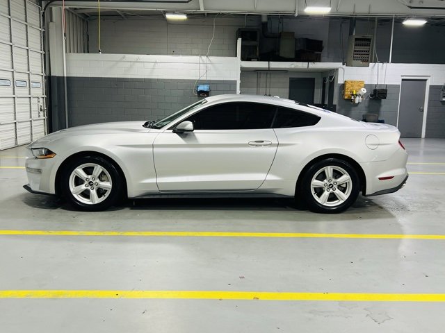 Used 2019 Ford Mustang EcoBoost image 14