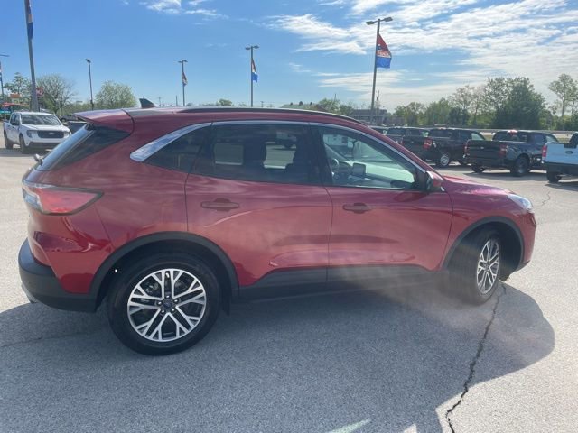 Used 2020 Ford Escape SEL image 13