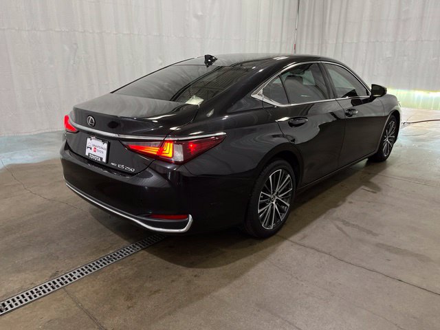 Used 2023 Lexus ES 250 w/ Premium Package AWD/4WD image 5