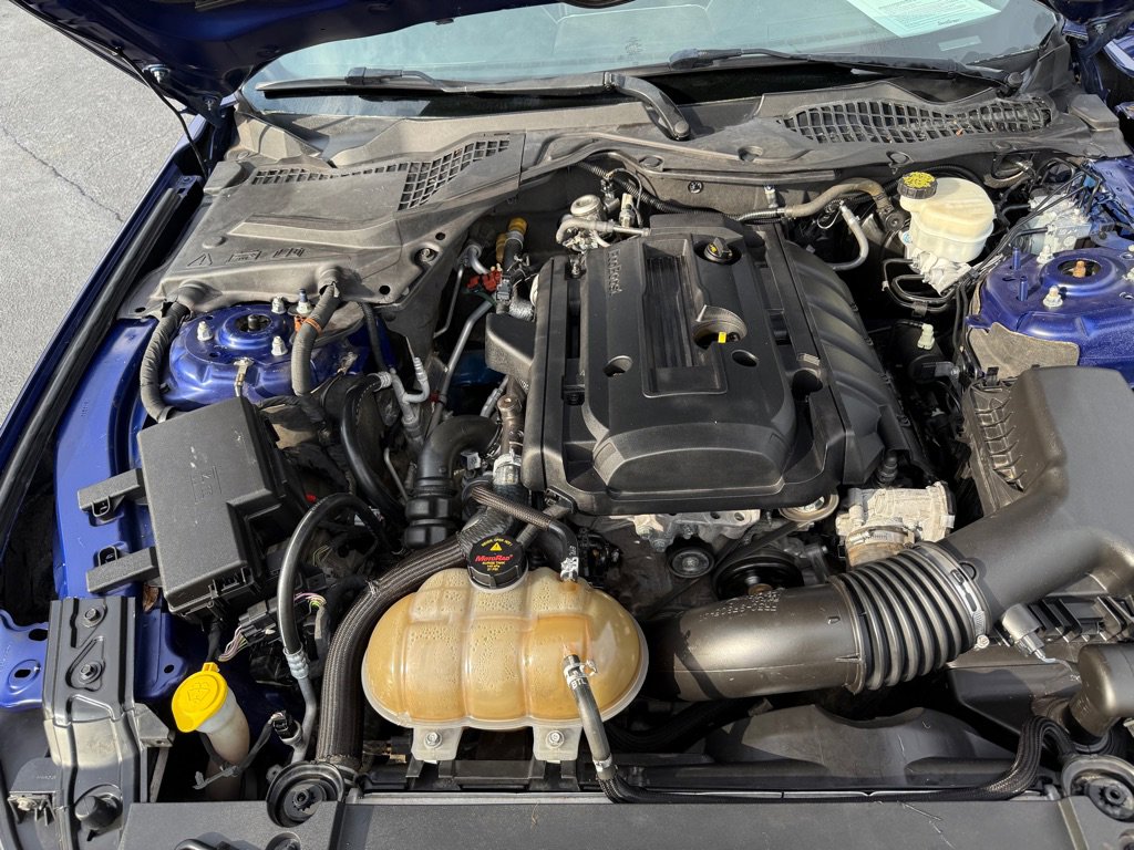 Used 2015 Ford Mustang Premium w/ Equipment Group 201A image 33