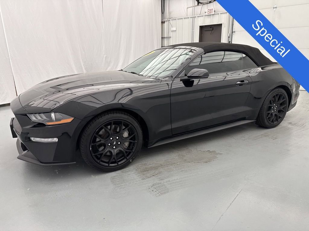 Used 2019 Ford Mustang Premium w/ Ecoboost Performance Package RWD image 3
