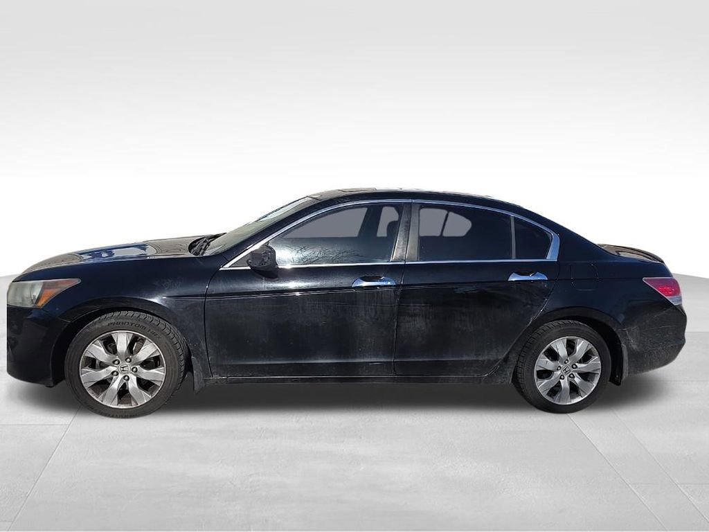 Used 2010 Honda Accord EX-L image 2