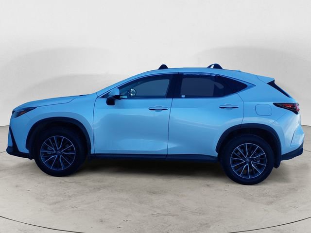 Certified 2025 Lexus NX 350h AWD w/ Cold Area Package image 2
