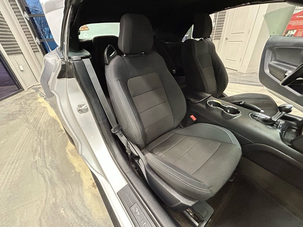 Used 2016 Ford Mustang Convertible w/ Equipment Group 051A image 4