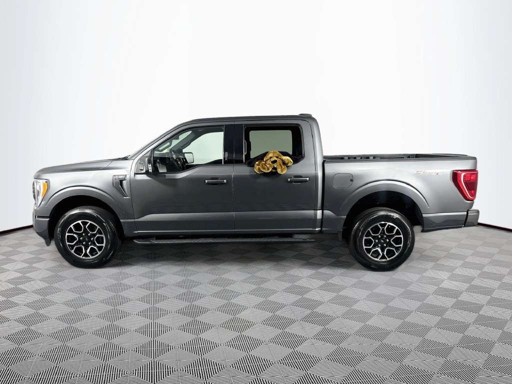 Used 2023 Ford F150 XLT w/ Equipment Group 302A High AWD/4WD image 4
