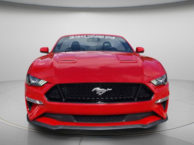 Used 2019 Ford Mustang GT Premium w/ Equipment Group 401A RWD image 4