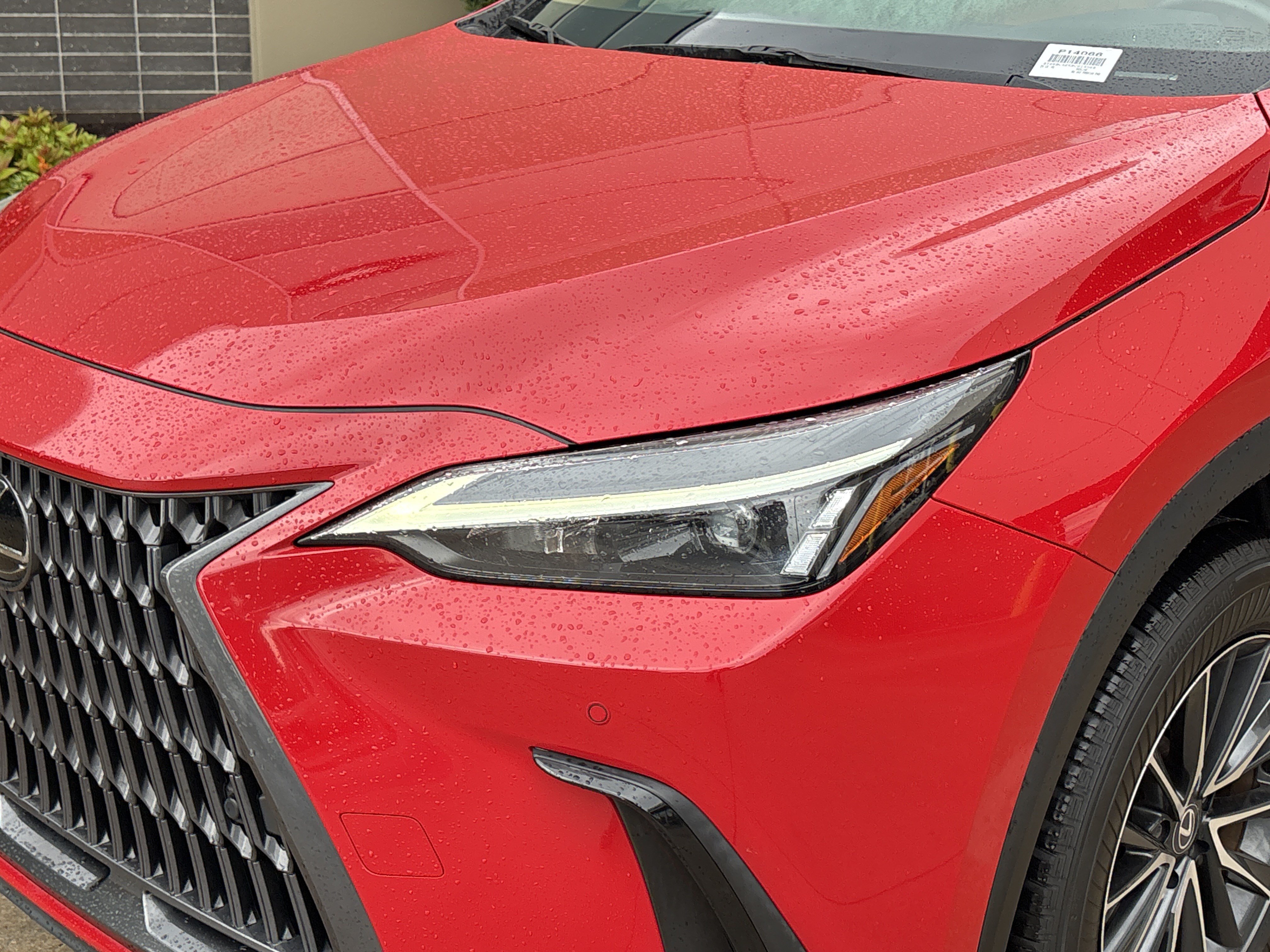 Used 2024 Lexus NX 250 FWD image 6