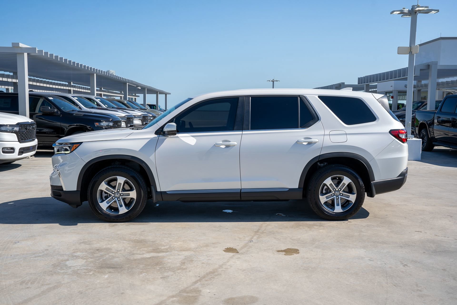 Certified 2025 Honda Pilot EX-L image 8