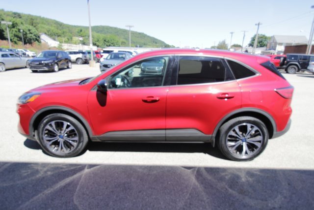 Used 2022 Ford Escape SE w/ SE Sport Appearance Package image 9