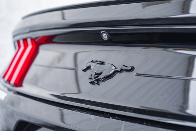 Used 2021 Ford Mustang Premium w/ Equipment Group 201A image 10