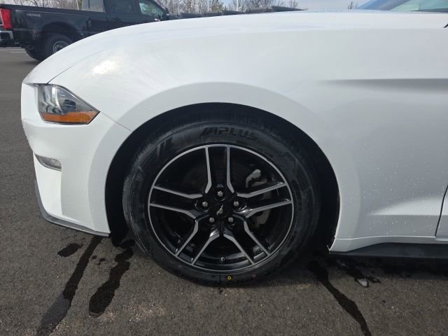 Certified 2023 Ford Mustang Premium RWD image 14