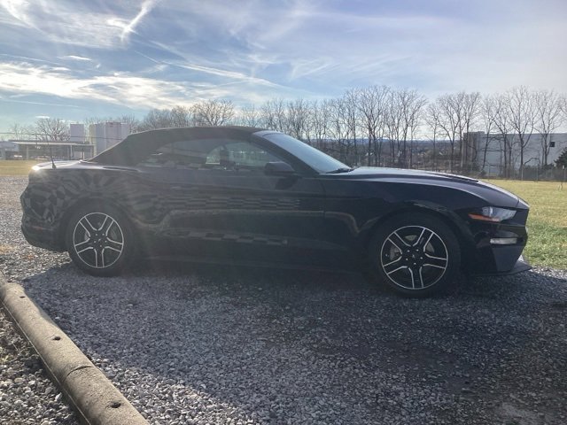 Used 2021 Ford Mustang Premium image 5