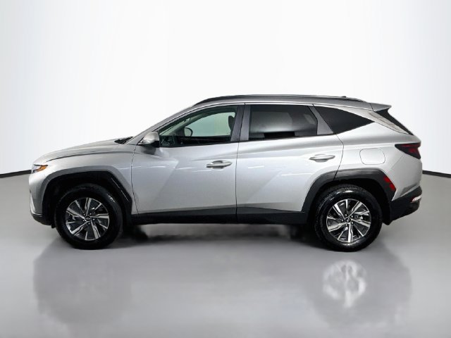 Used 2024 Hyundai Tucson Blue AWD/4WD image 6