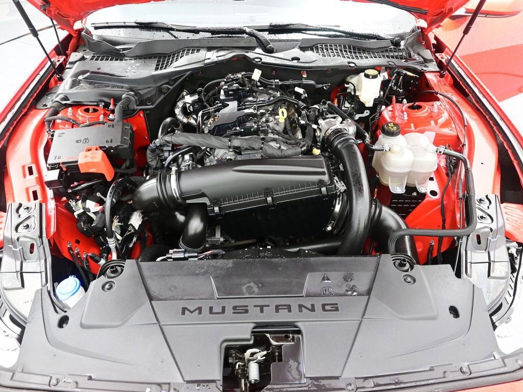 Used 2024 Ford Mustang Premium image 12