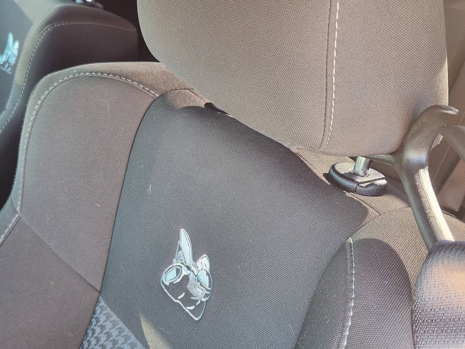 Used 2022 Dodge Challenger R/T Scat Pack image 16