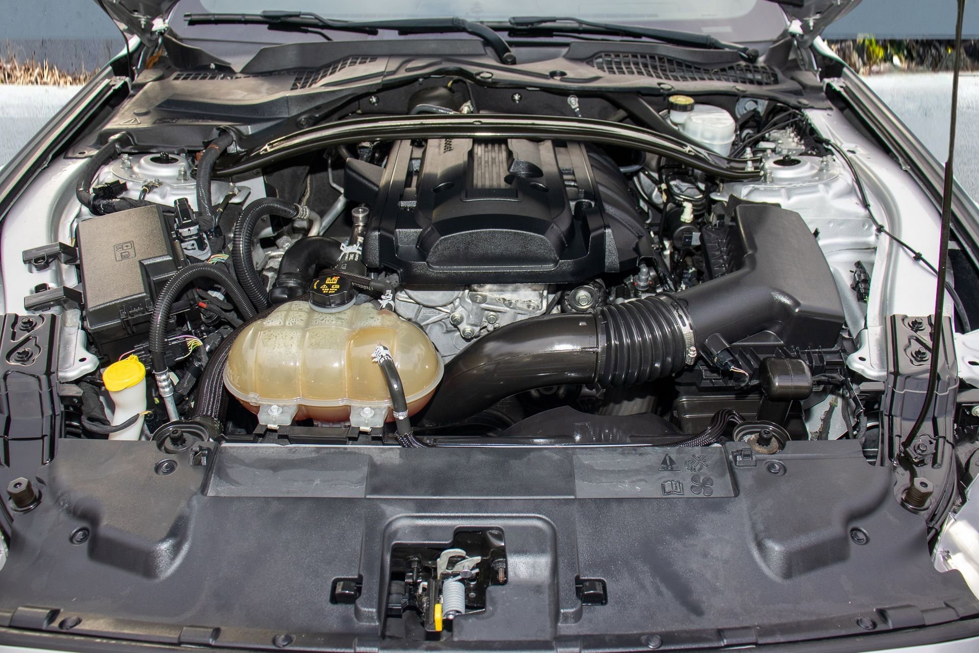 Used 2019 Ford Mustang Premium w/ Ecoboost Performance Package image 31