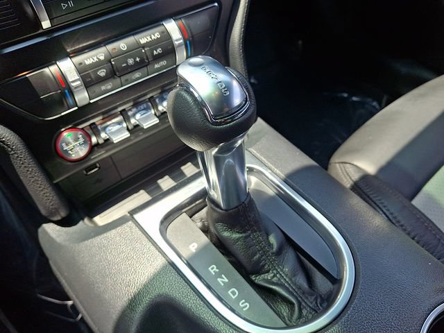 Used 2021 Ford Mustang GT w/ Equipment Group 301A RWD image 14