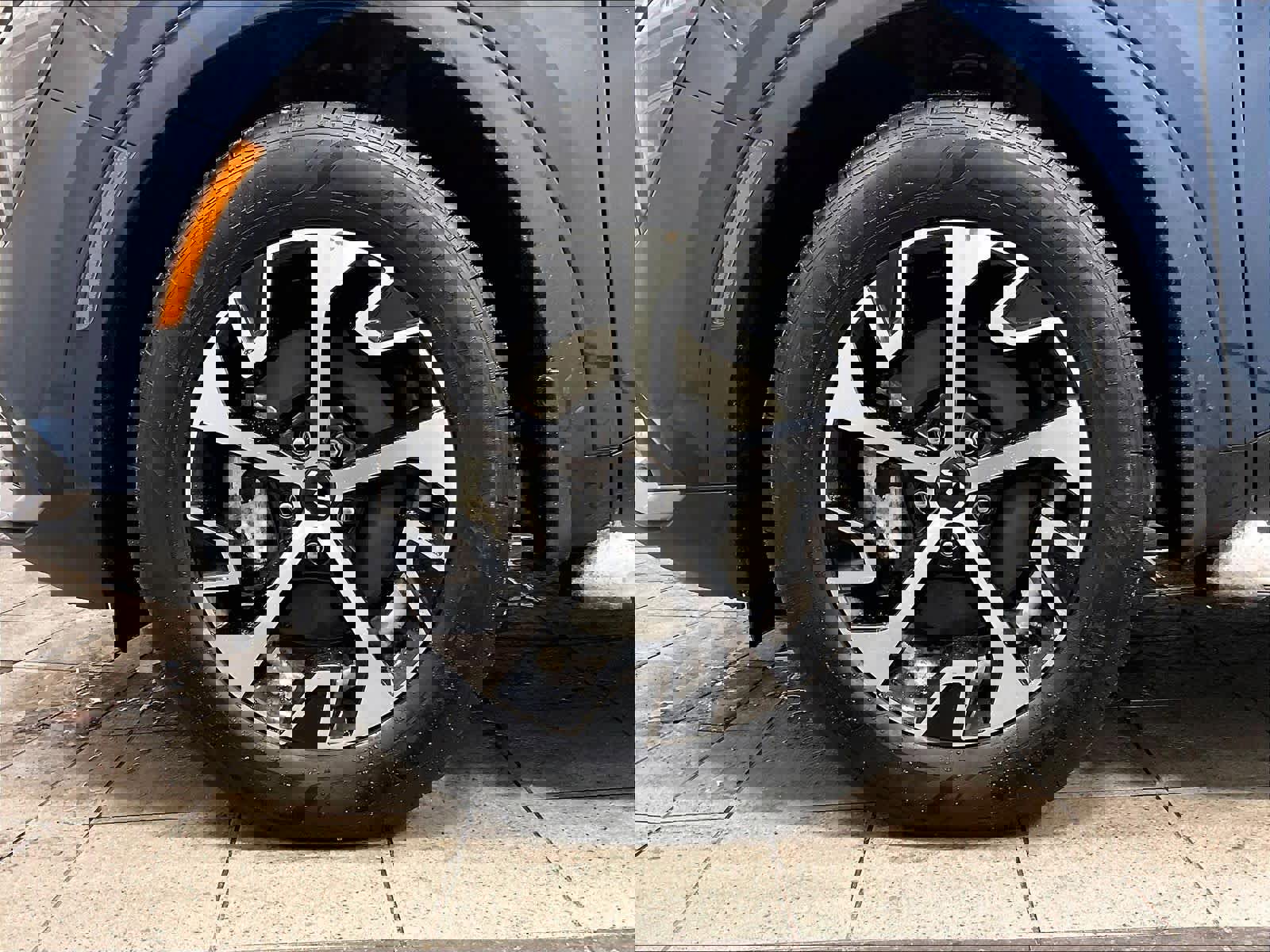 Used 2024 Kia Sportage EX w/ EX Premium Package image 7