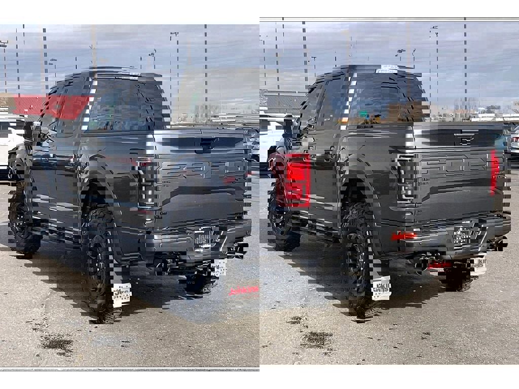 Used 2019 Ford F150 Raptor w/ Equipment Group 802A Luxury image 13