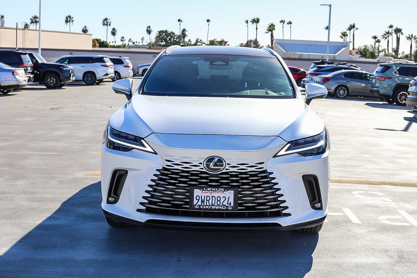 Certified 2026 Lexus RX 450h AWD w/ Convenience Package image 2