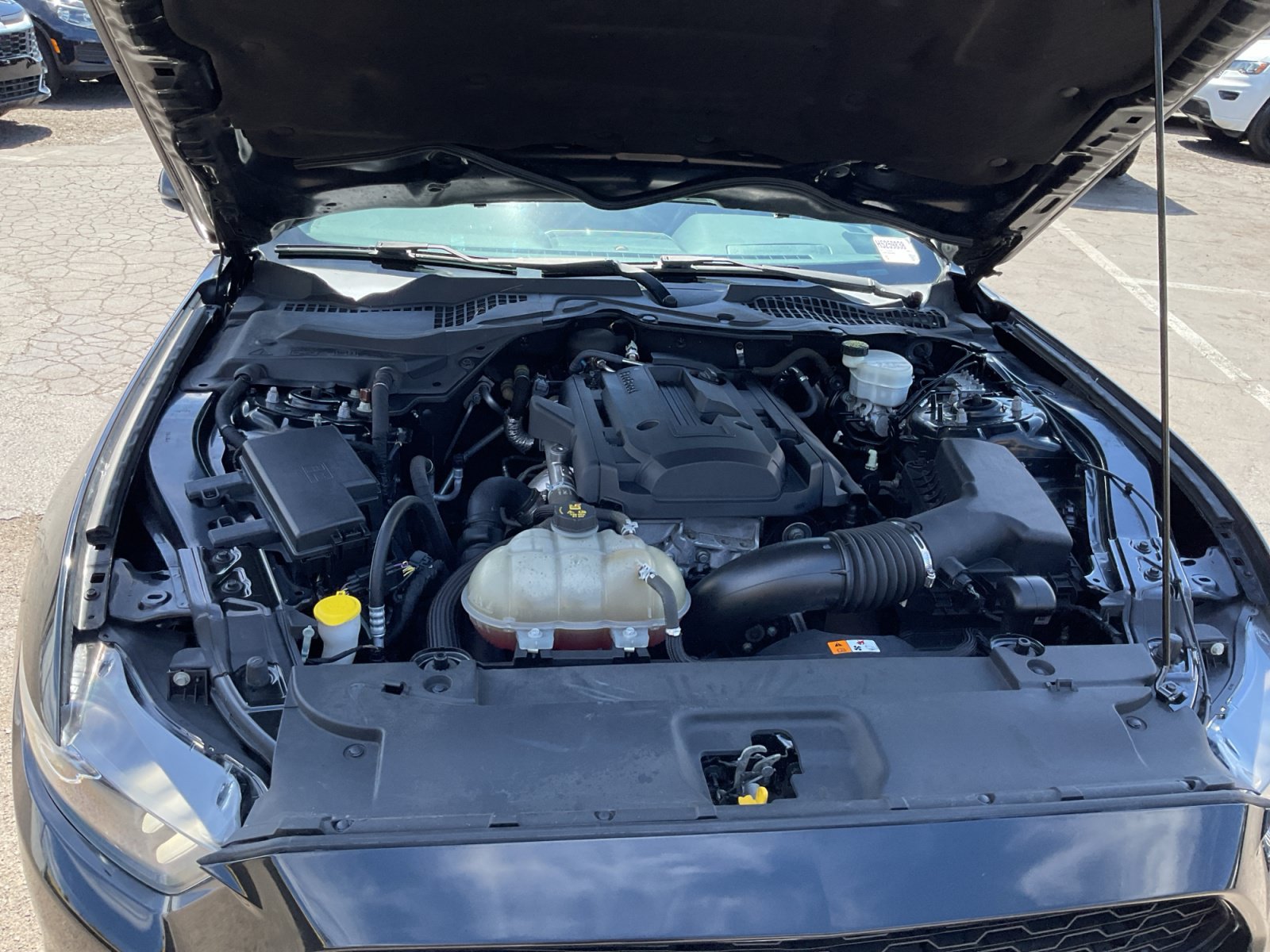 Used 2017 Ford Mustang Premium w/ Equipment Group 201A RWD image 22