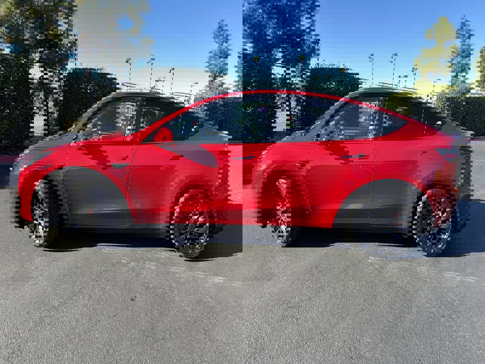 Used 2023 Tesla Model Y Performance image 3