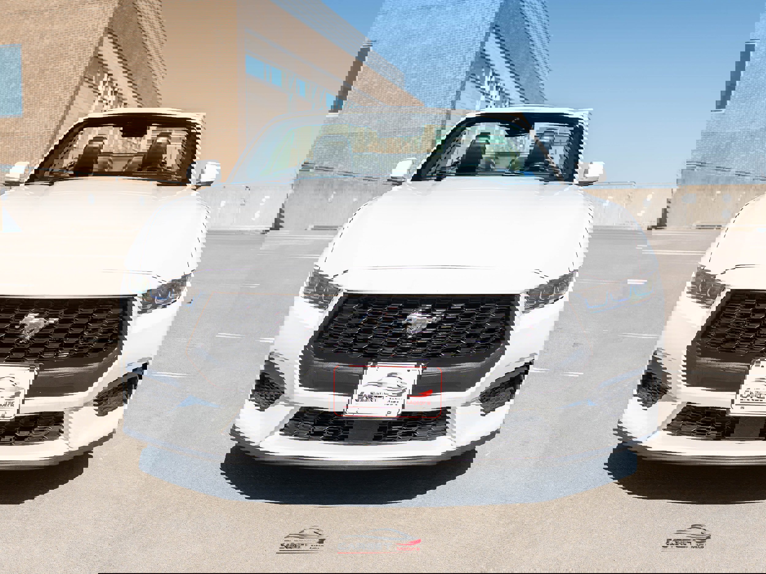 Used 2024 Ford Mustang Premium image 2