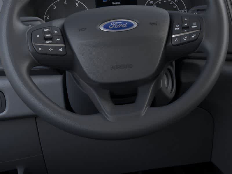 New 2025 Ford Transit 250 Low Roof w/ Load Area Protection Package RWD image 12